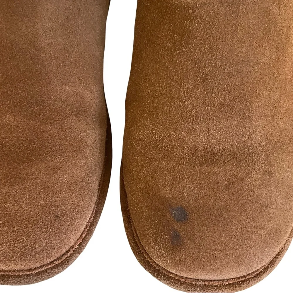BearPaw 
